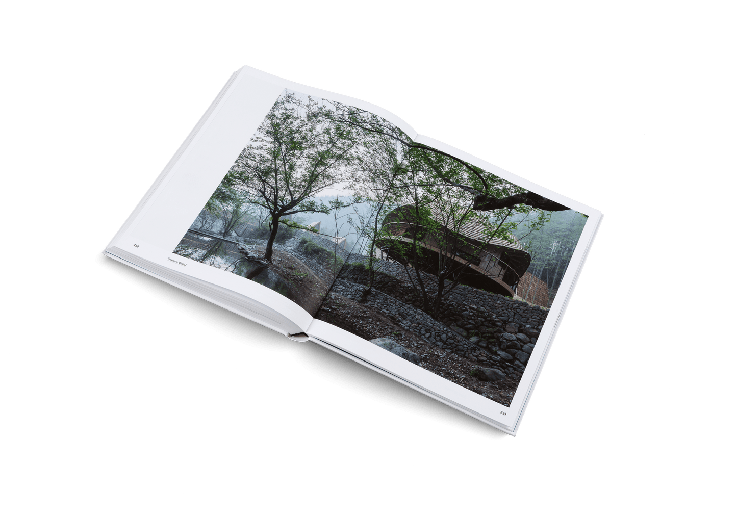 Beyond the West - Artiome™ - Book