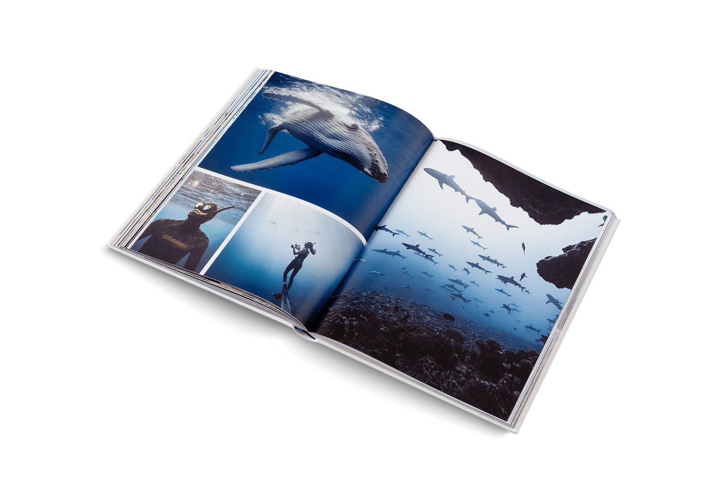 Boatlife - Artiome™ - Book