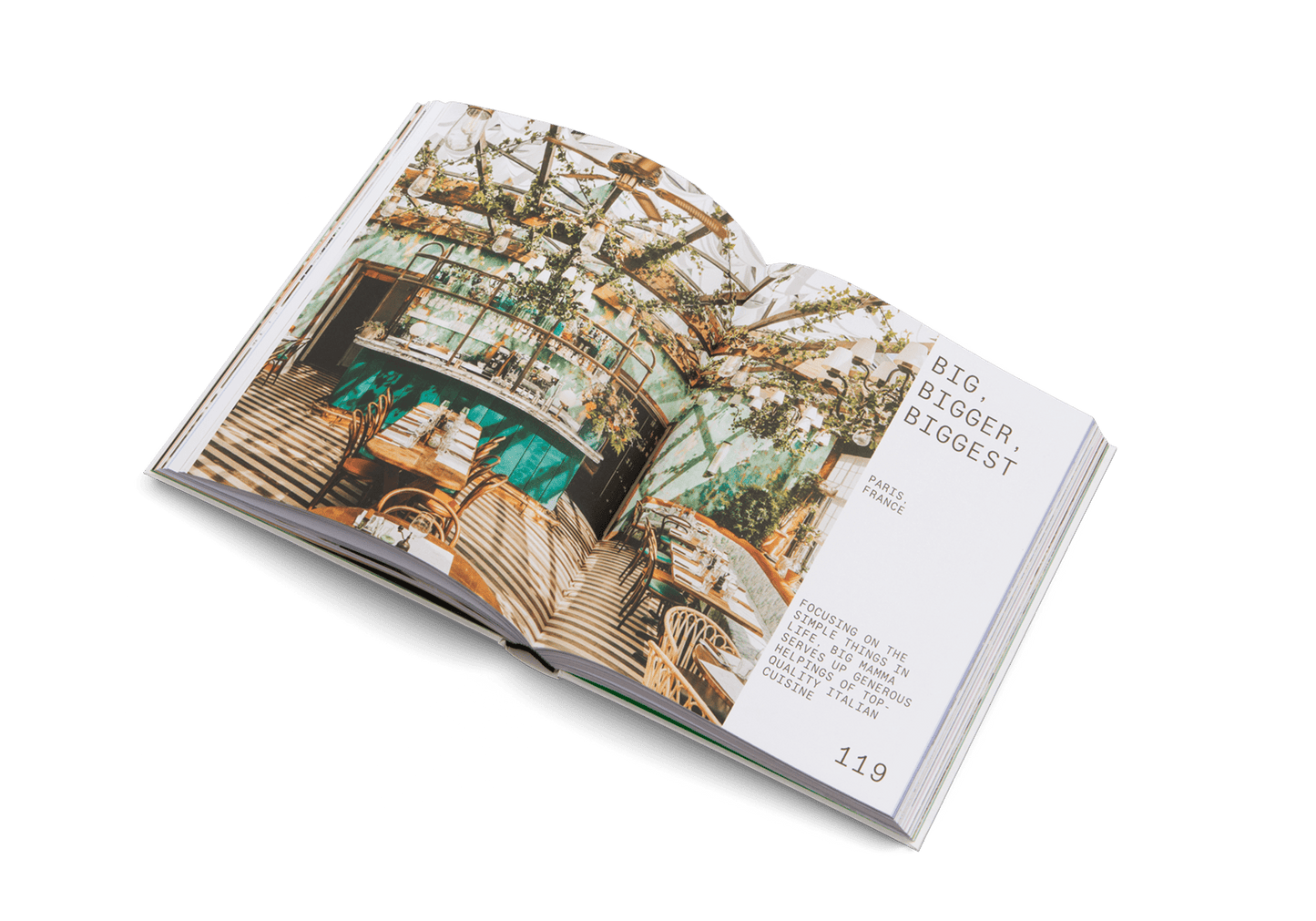 Delicious Places - Artiome™ - Book