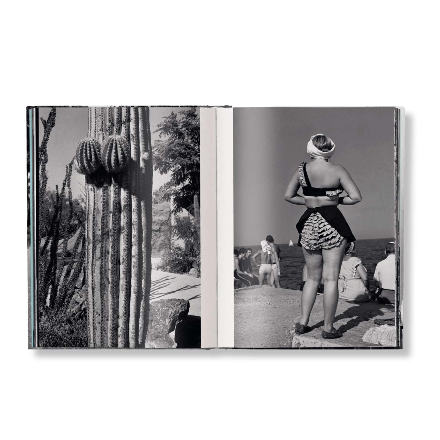 Elliott Erwitt: Personal Best - Artiome™ - Book