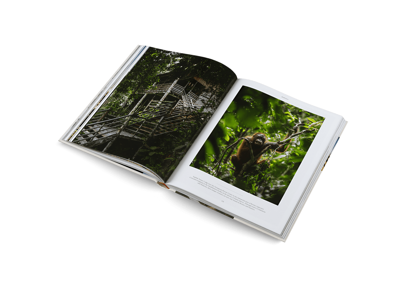 Life on the Road - Artiome™ - Book