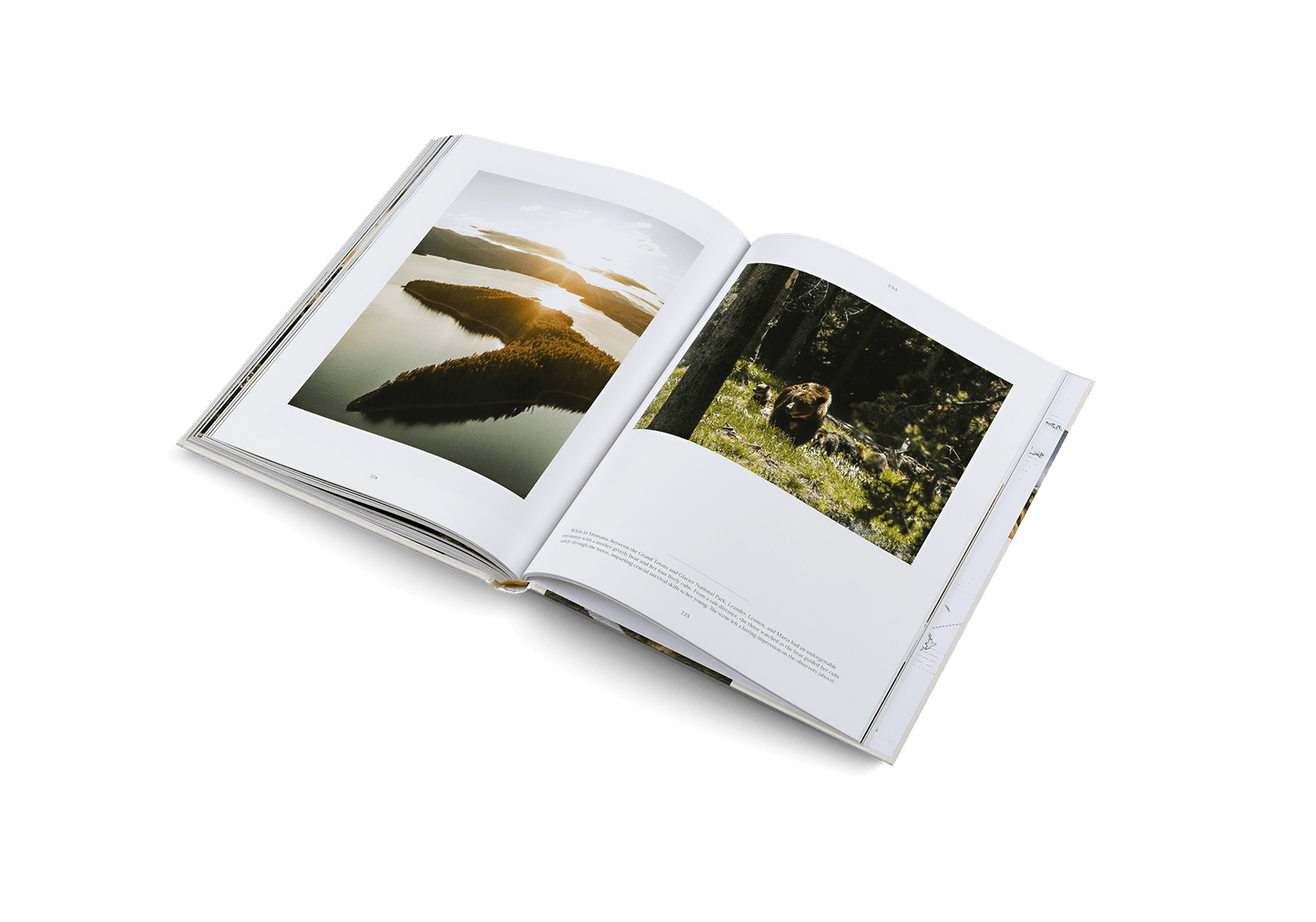 Life on the Road - Artiome™ - Book