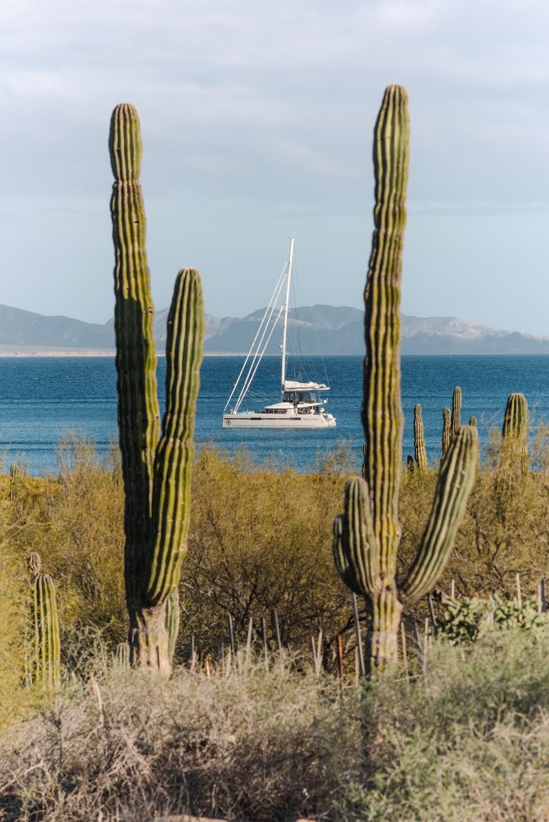 Sailing the Seas Vol. 2 - Artiome™ - Book