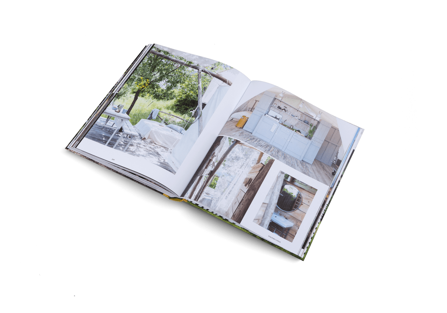 Stay Wild - Artiome™ - Book