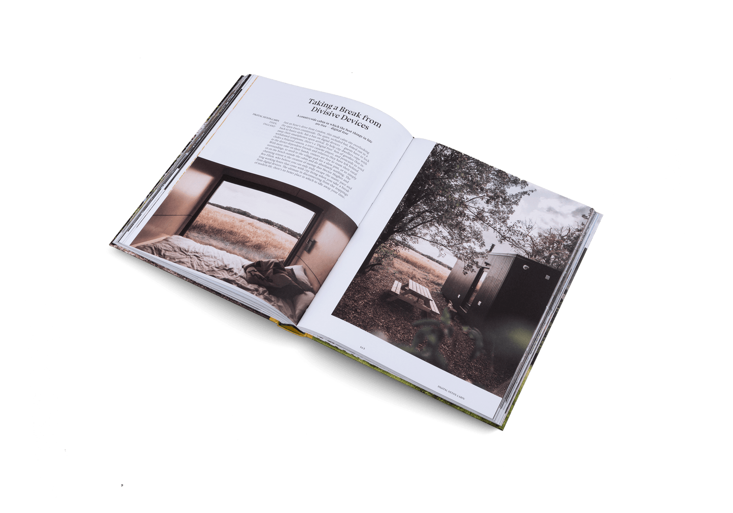 Stay Wild - Artiome™ - Book