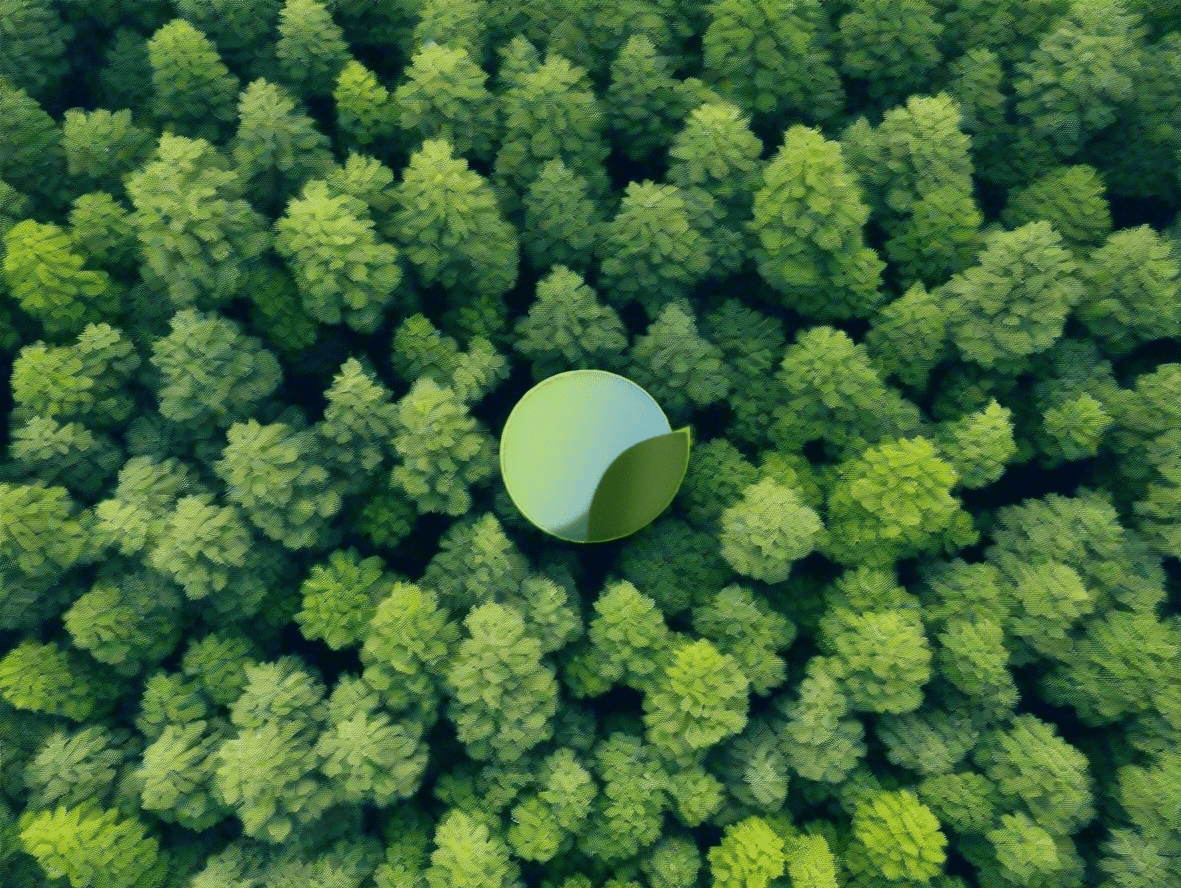 Support for groundbreaking carbon removal technologies (nature-based solutions such as reforestation and soil carbon sequestration). - Artiome™ -