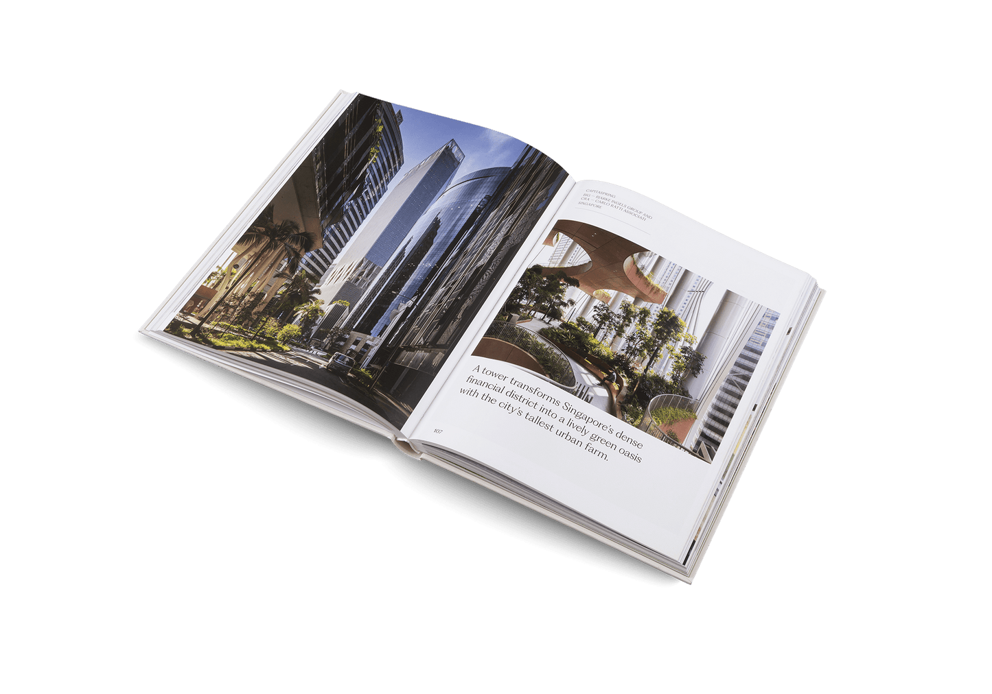 The House of Green - Artiome™ - Book