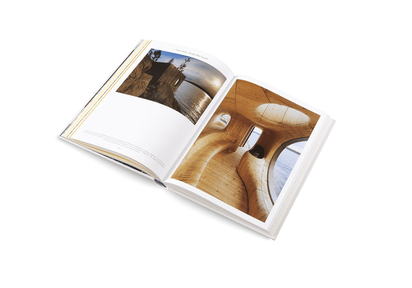 The Nature of Swimming - Artiome™ - Book