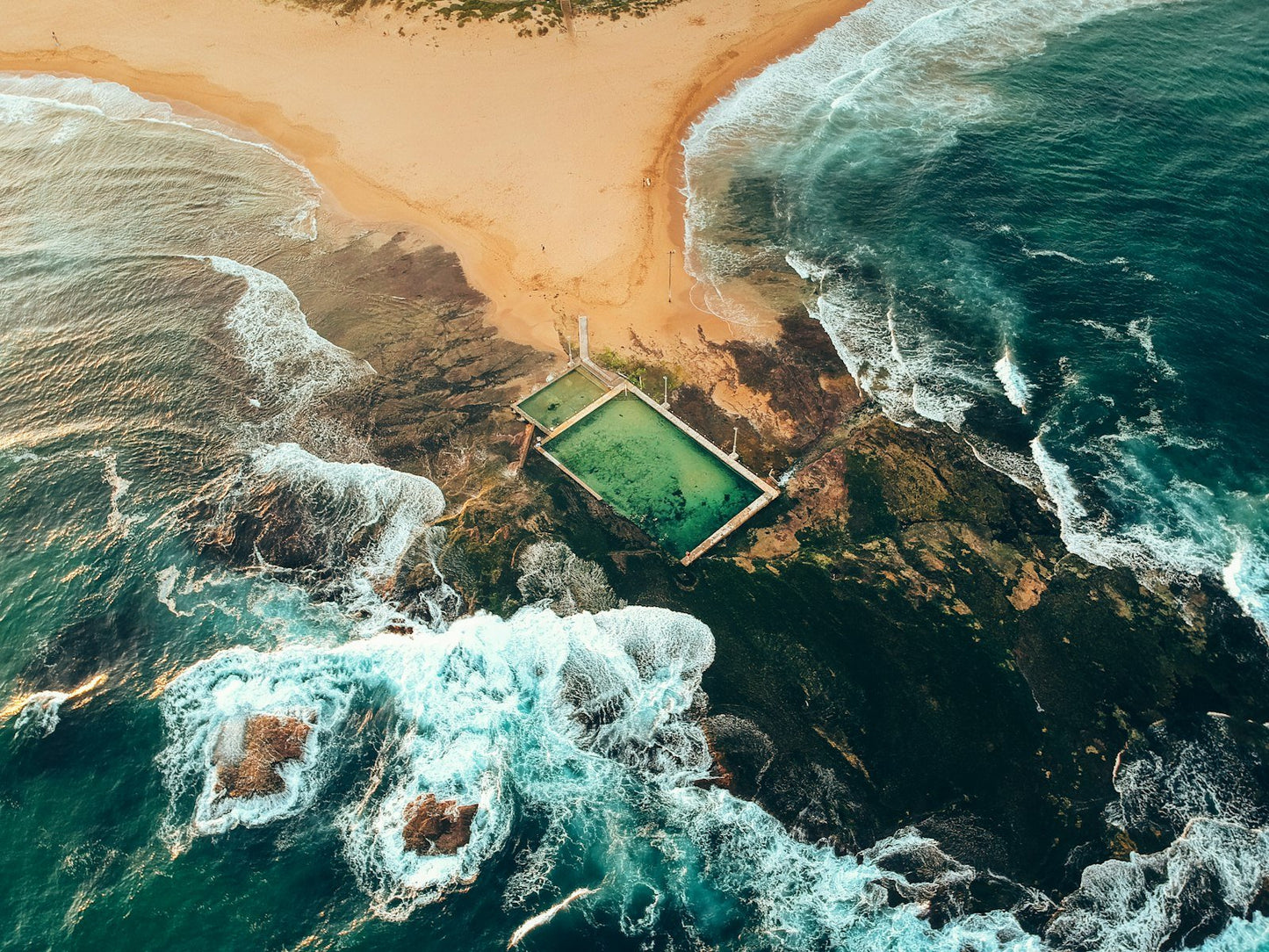 The Nature of Swimming - Artiome™ - Book