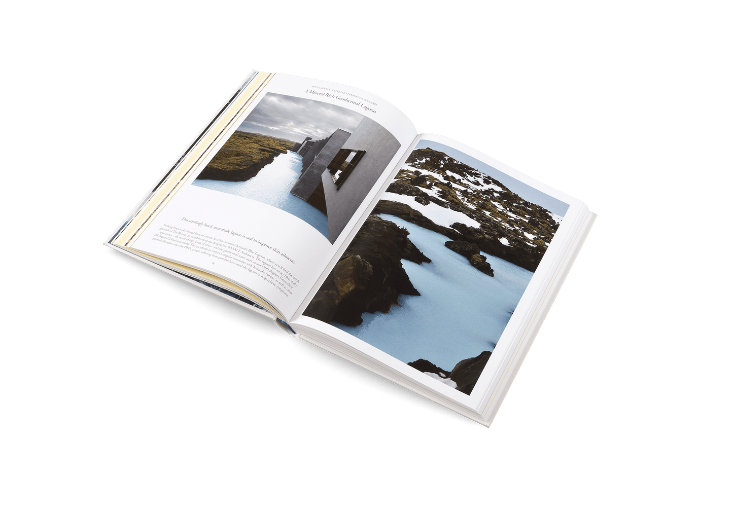 The Nature of Swimming - Artiome™ - Book