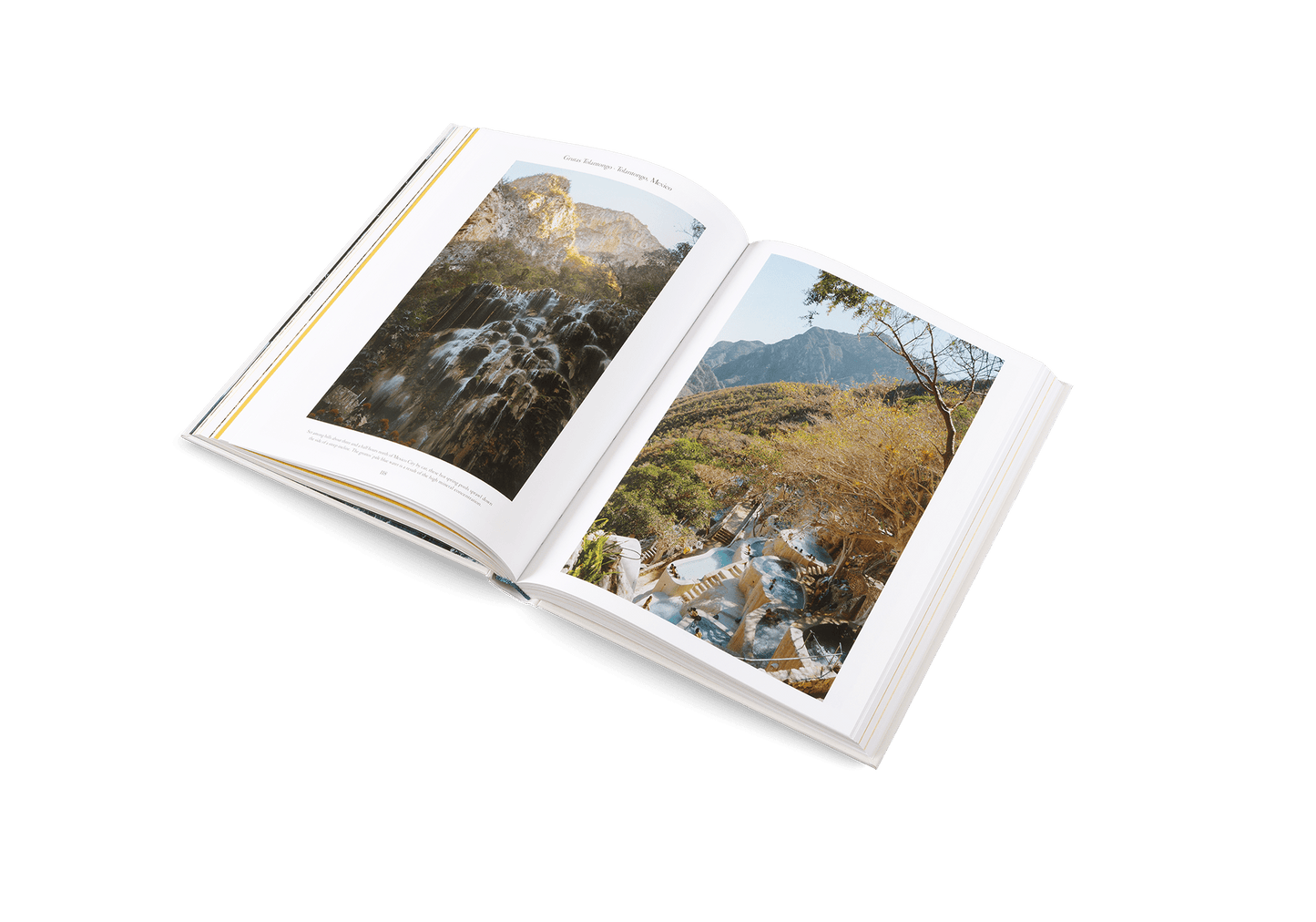 The Nature of Swimming - Artiome™ - Book