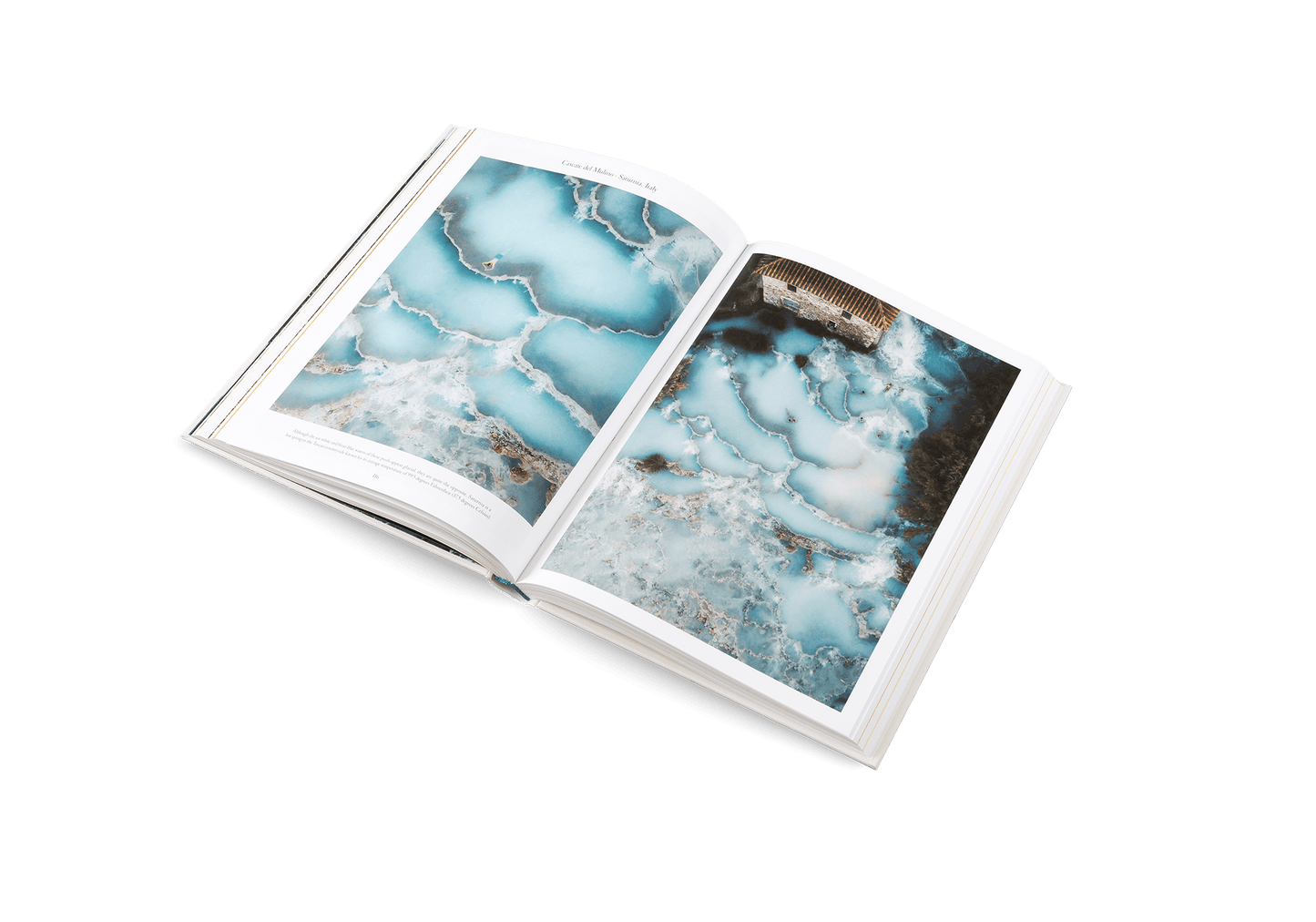 The Nature of Swimming - Artiome™ - Book