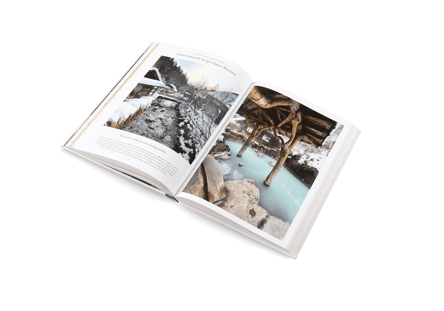 The Nature of Swimming - Artiome™ - Book
