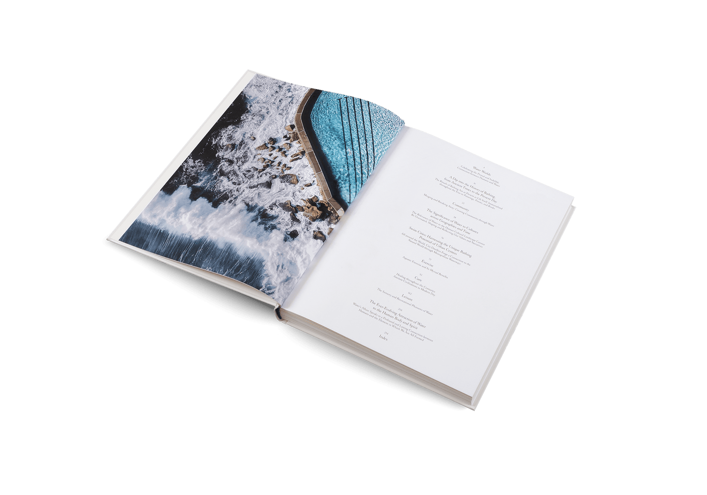 The Nature of Swimming - Artiome™ - Book