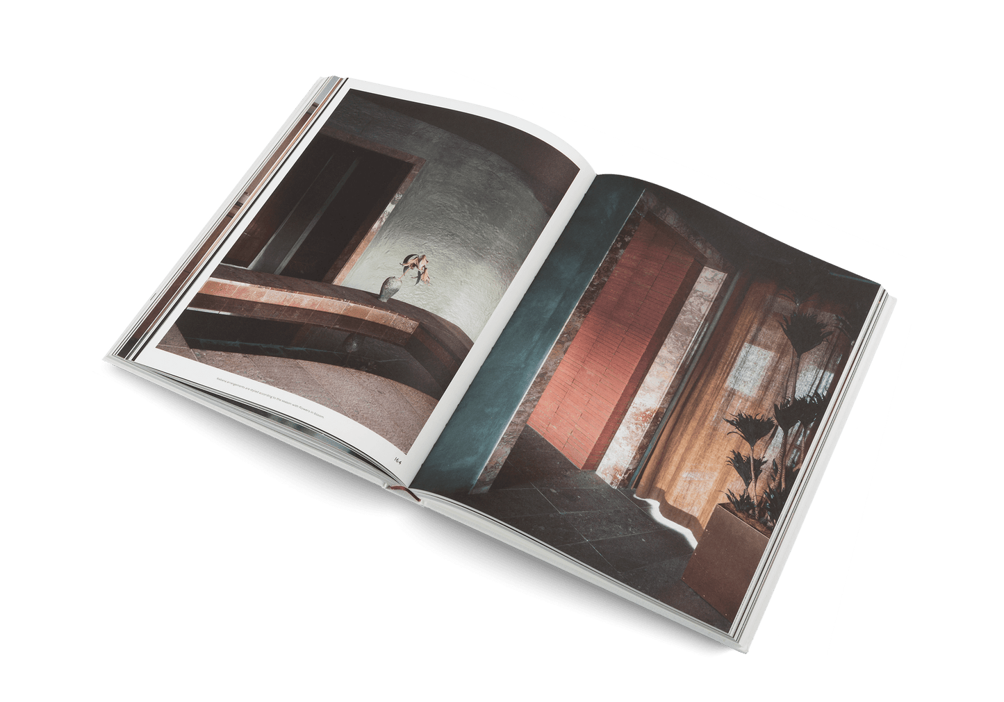 The Touch - Artiome™ - Book