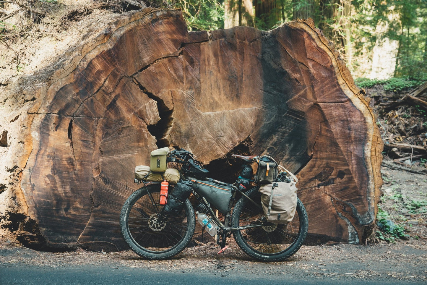 Two Years on a Bike - Artiome™ -