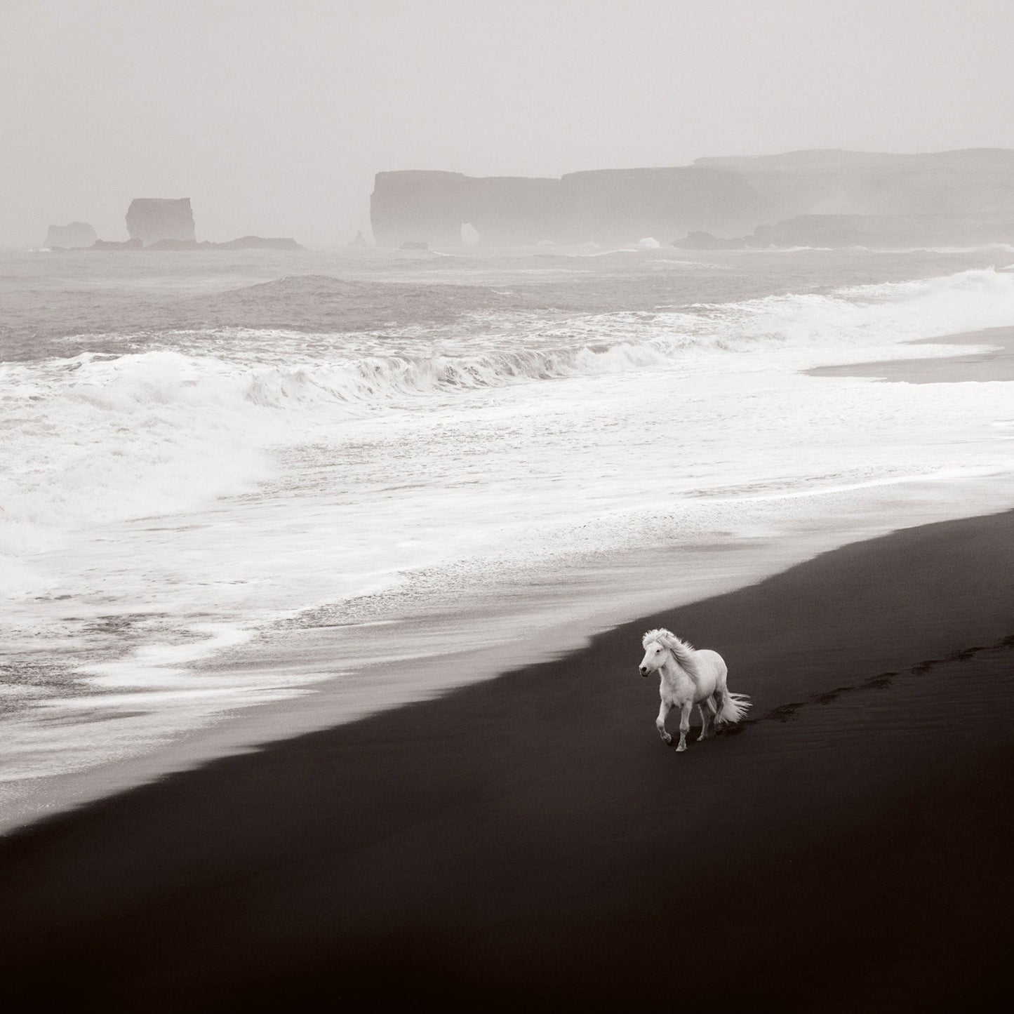 Untamed Spirits: Horses From Around the World - Artiome™ - Book