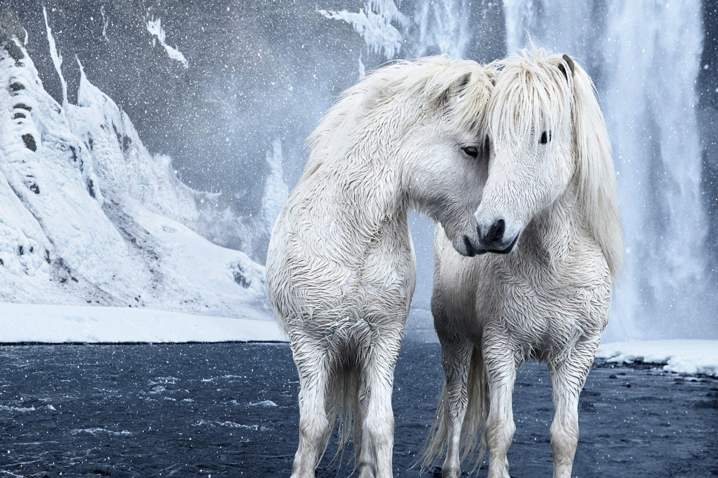 Untamed Spirits: Horses From Around the World - Artiome™ - Book