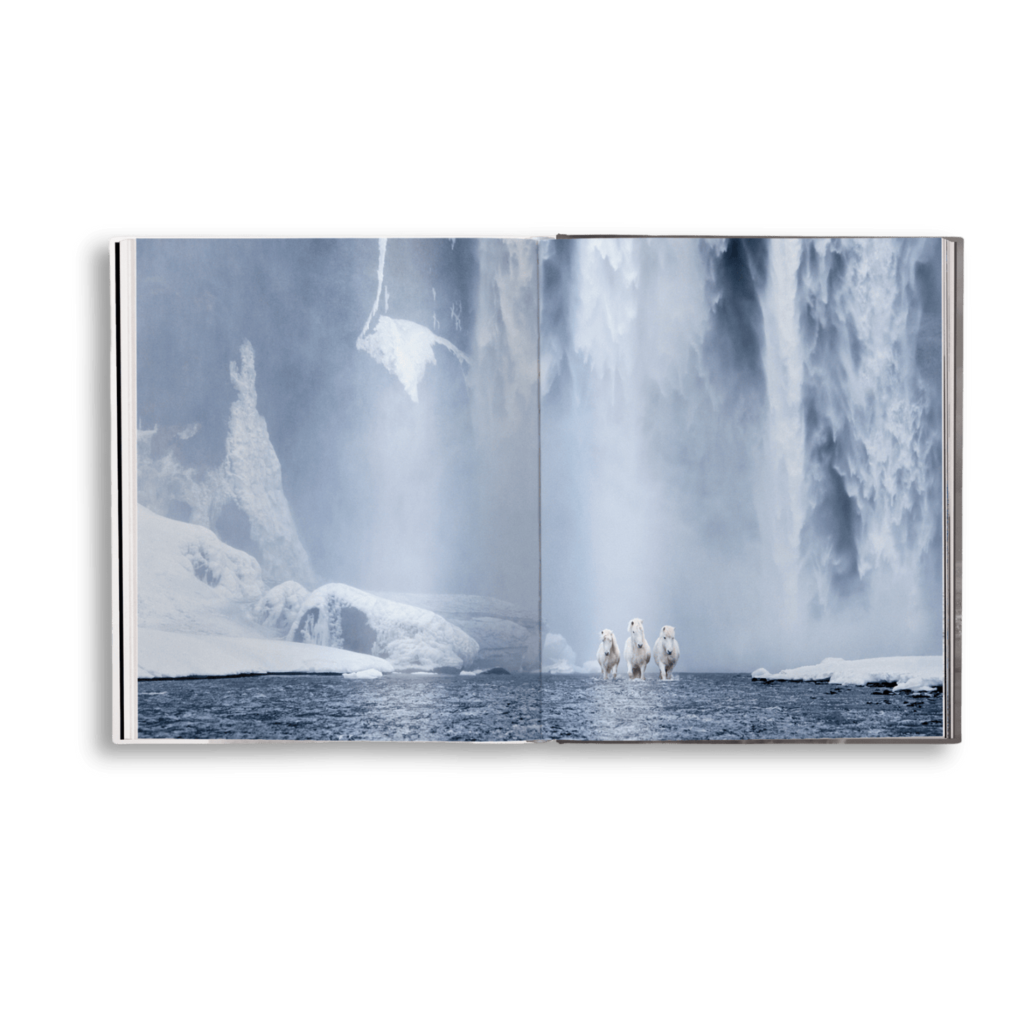 Untamed Spirits: Horses From Around the World - Artiome™ - Book