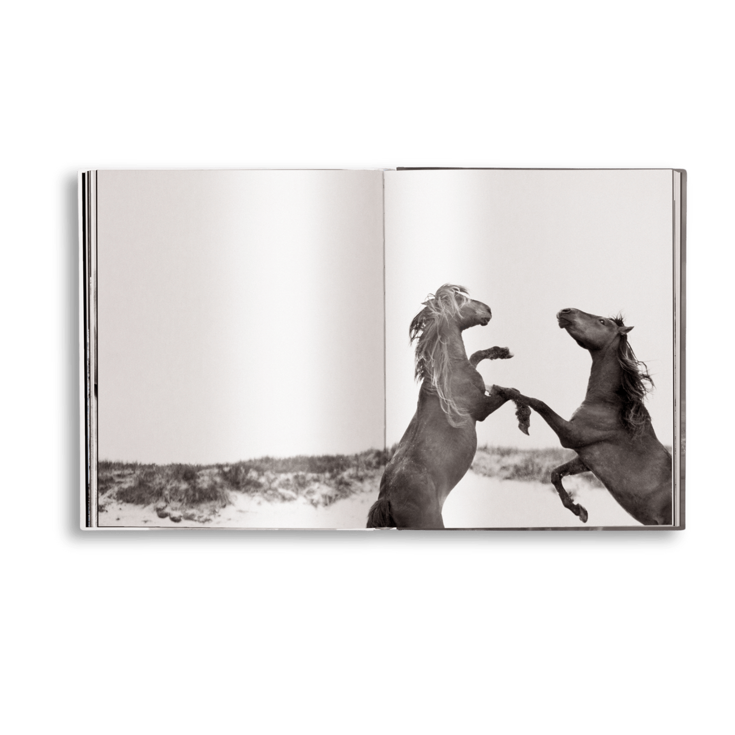 Untamed Spirits: Horses From Around the World - Artiome™ - Book