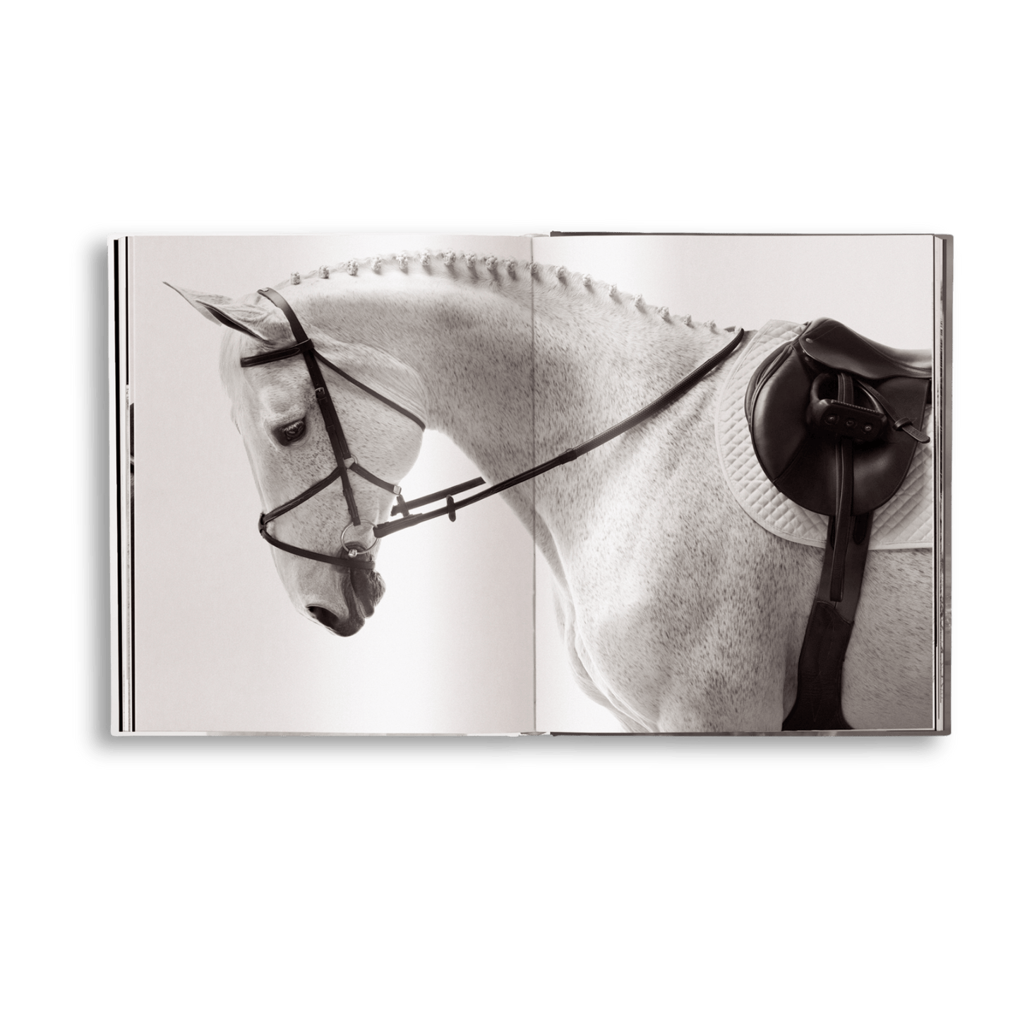 Untamed Spirits: Horses From Around the World - Artiome™ - Book