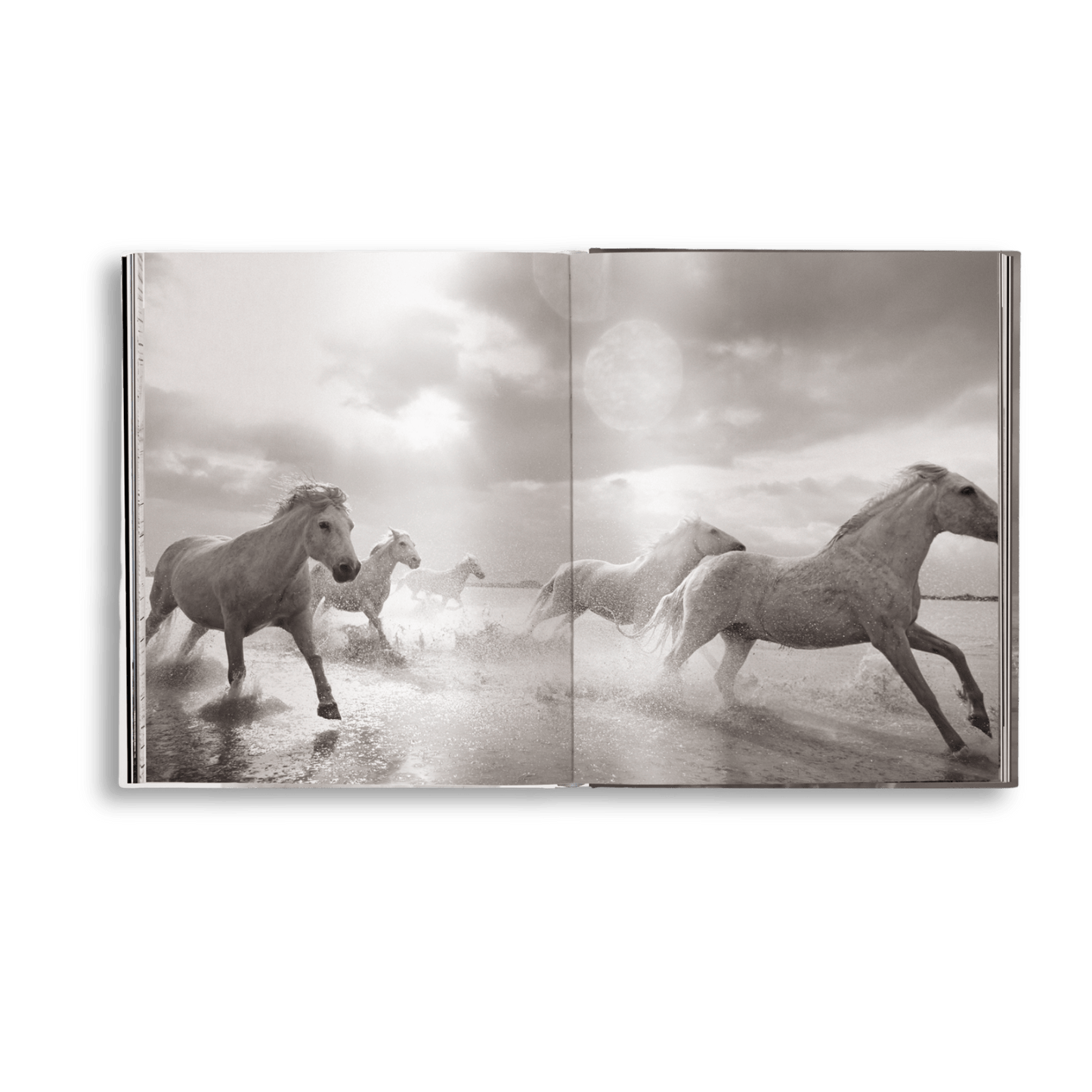 Untamed Spirits: Horses From Around the World - Artiome™ - Book