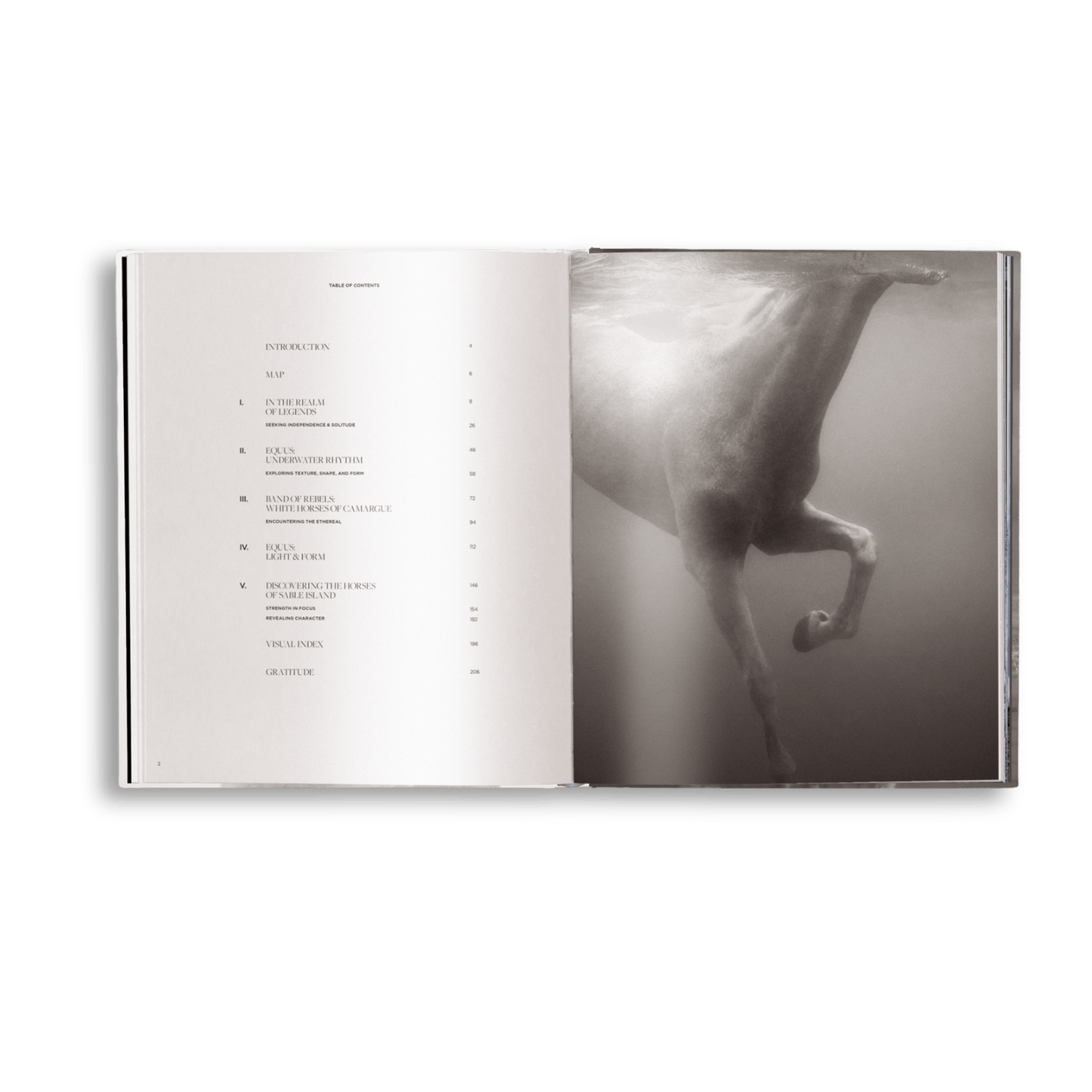 Untamed Spirits: Horses From Around the World - Artiome™ - Book
