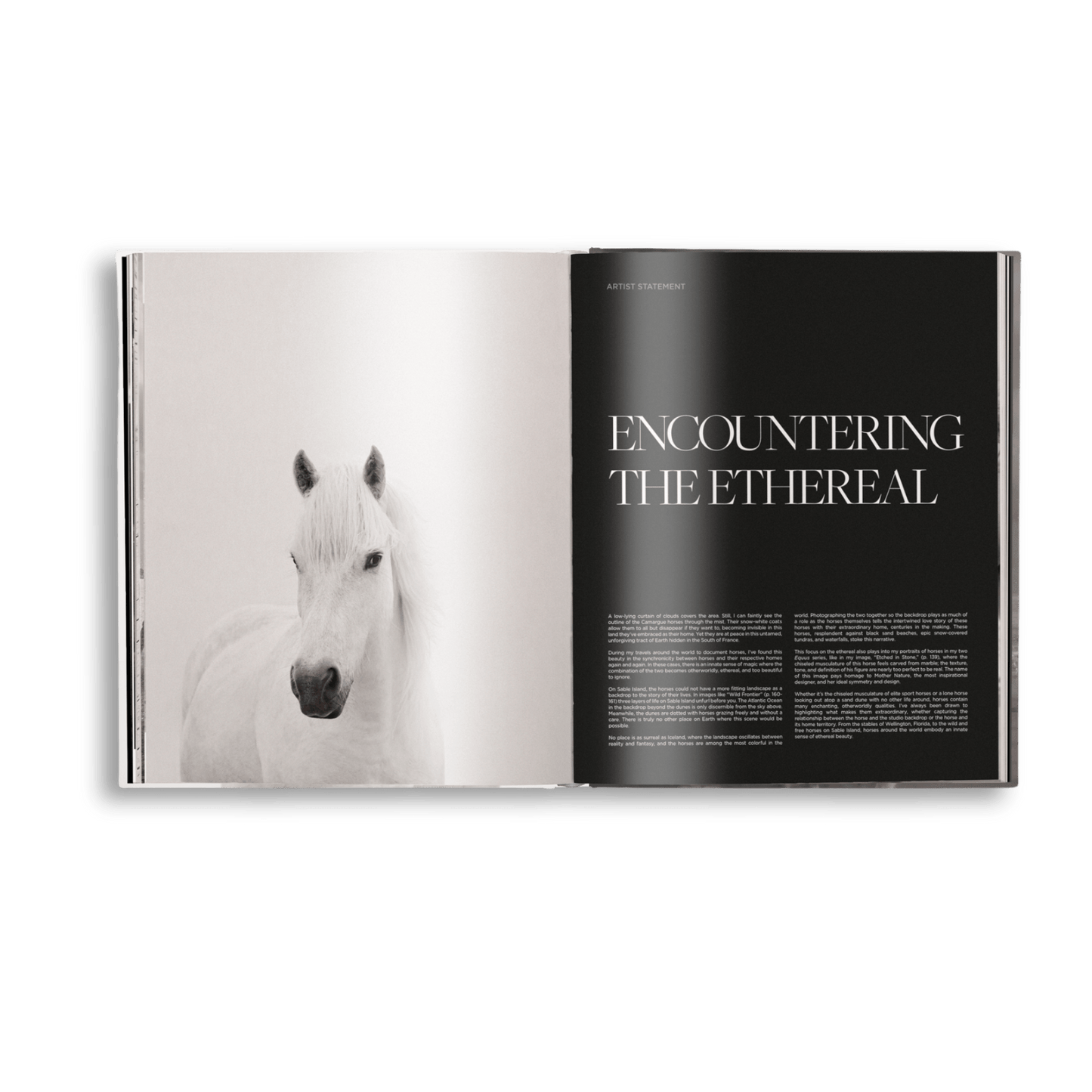 Untamed Spirits: Horses From Around the World - Artiome™ - Book