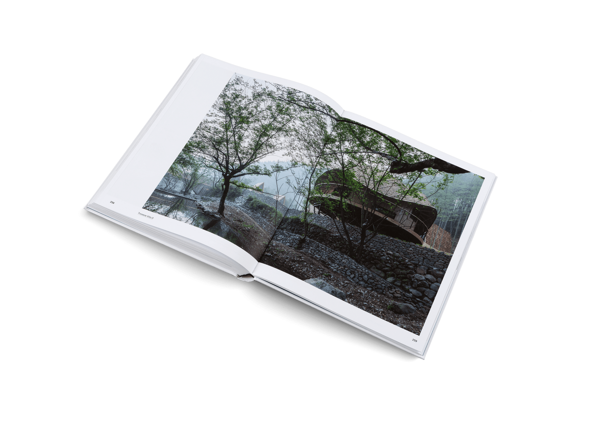 Beyond the West - Artiome™ - Book