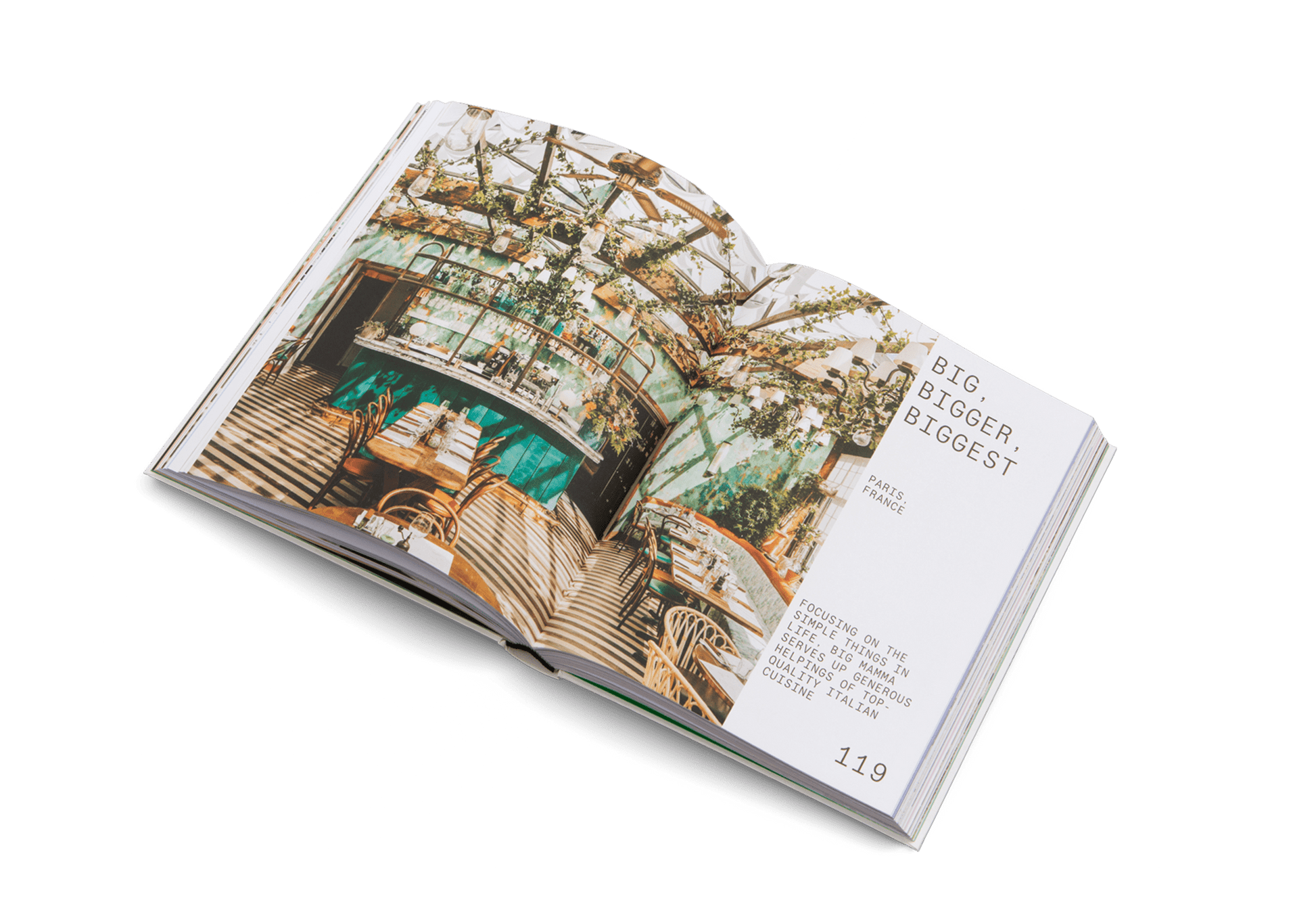Delicious Places - Artiome™ - Book