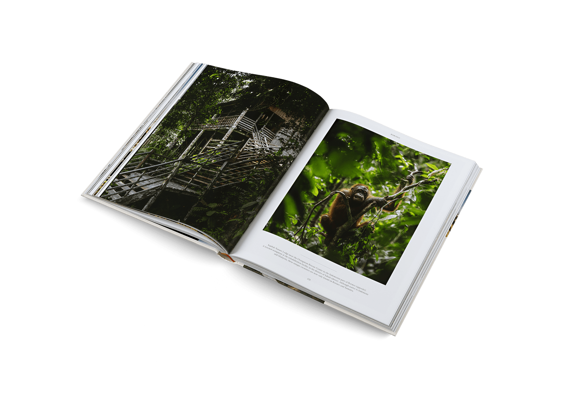Life on the Road - Artiome™ - Book