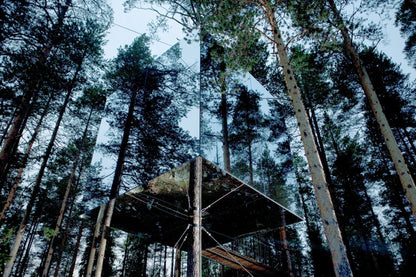 Stay Wild - Artiome™ - Book