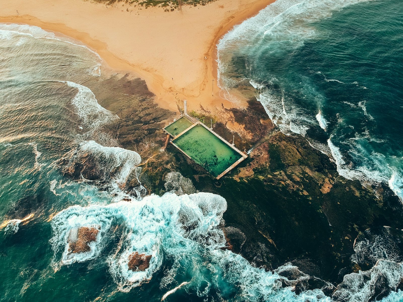 The Nature of Swimming - Artiome™ - Book