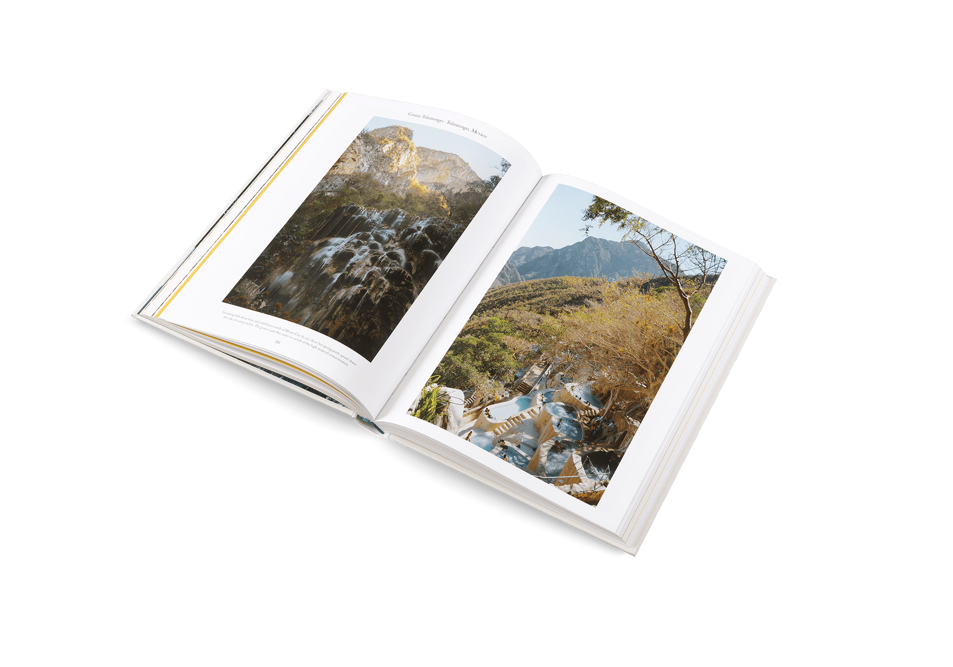 The Nature of Swimming - Artiome™ - Book