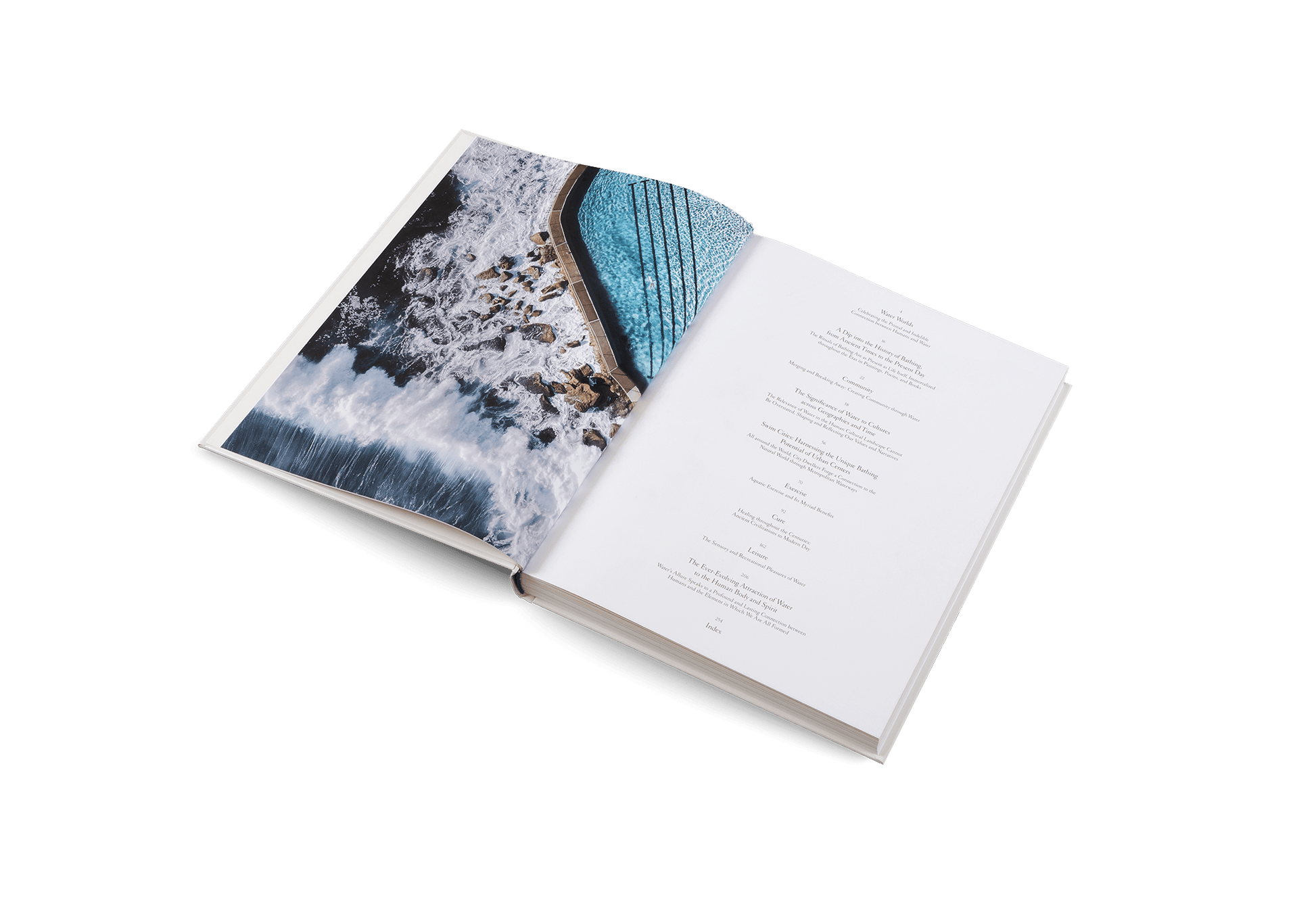 The Nature of Swimming - Artiome™ - Book