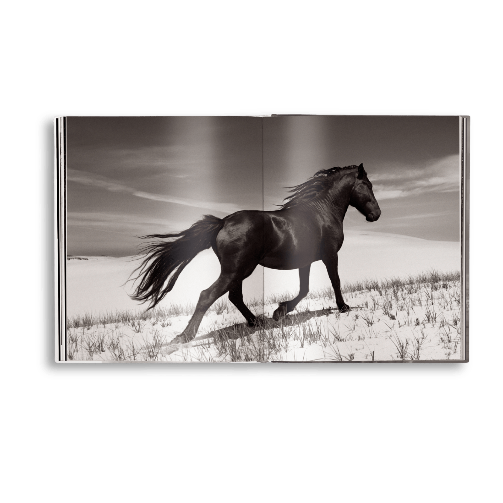Untamed Spirits: Horses From Around the World - Artiome™ - Book