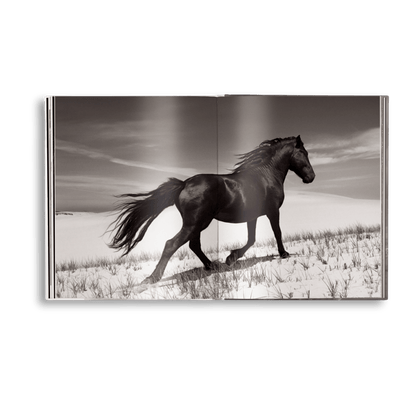 Untamed Spirits: Horses From Around the World - Artiome™ - Book