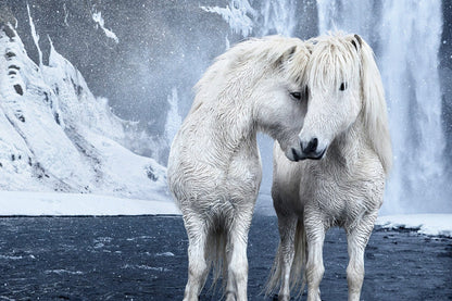 Untamed Spirits: Horses From Around the World - Artiome™ - Book