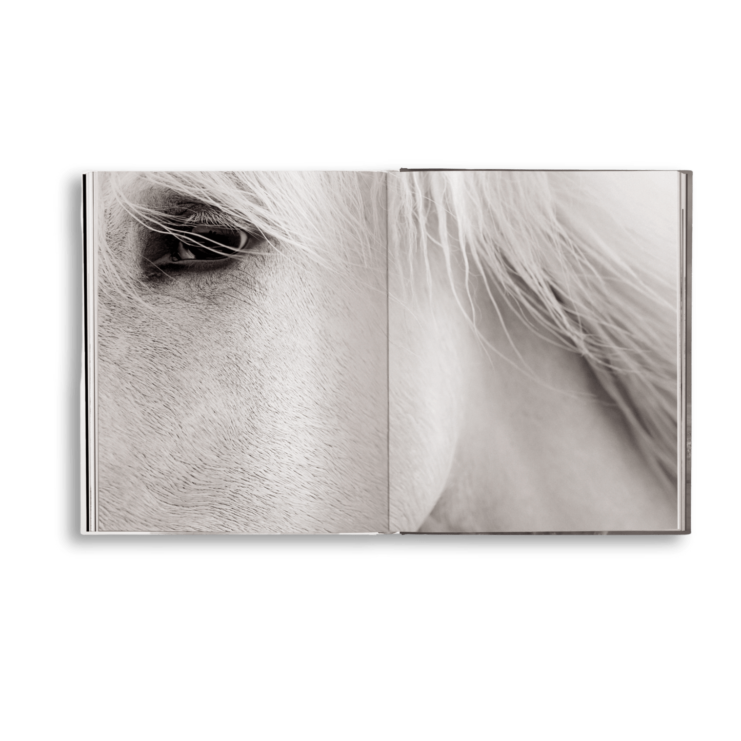 Untamed Spirits: Horses From Around the World - Artiome™ - Book