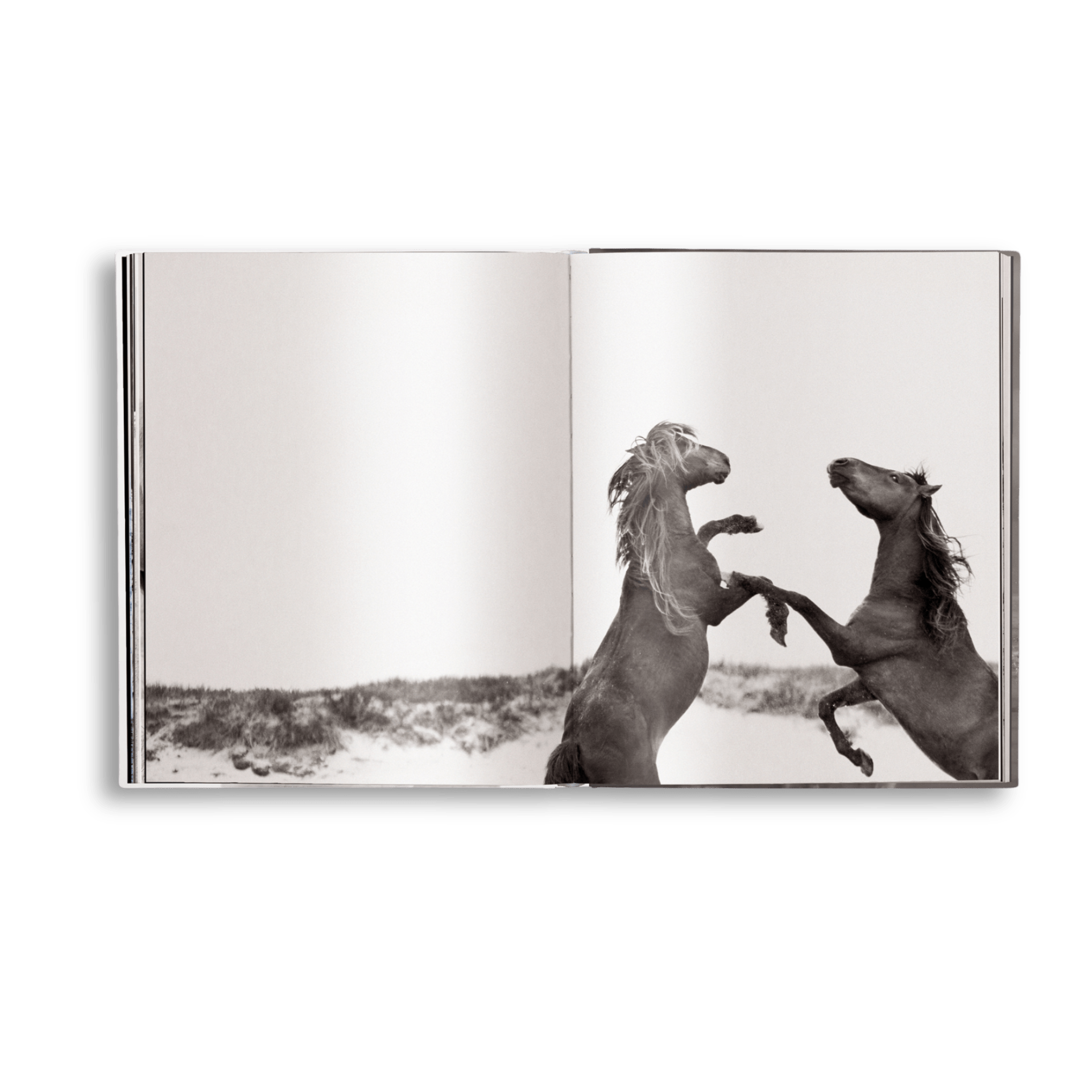 Untamed Spirits: Horses From Around the World - Artiome™ - Book