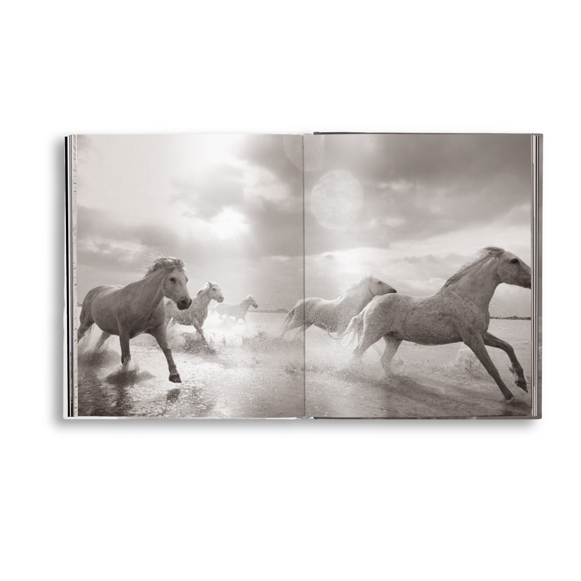 Untamed Spirits: Horses From Around the World - Artiome™ - Book