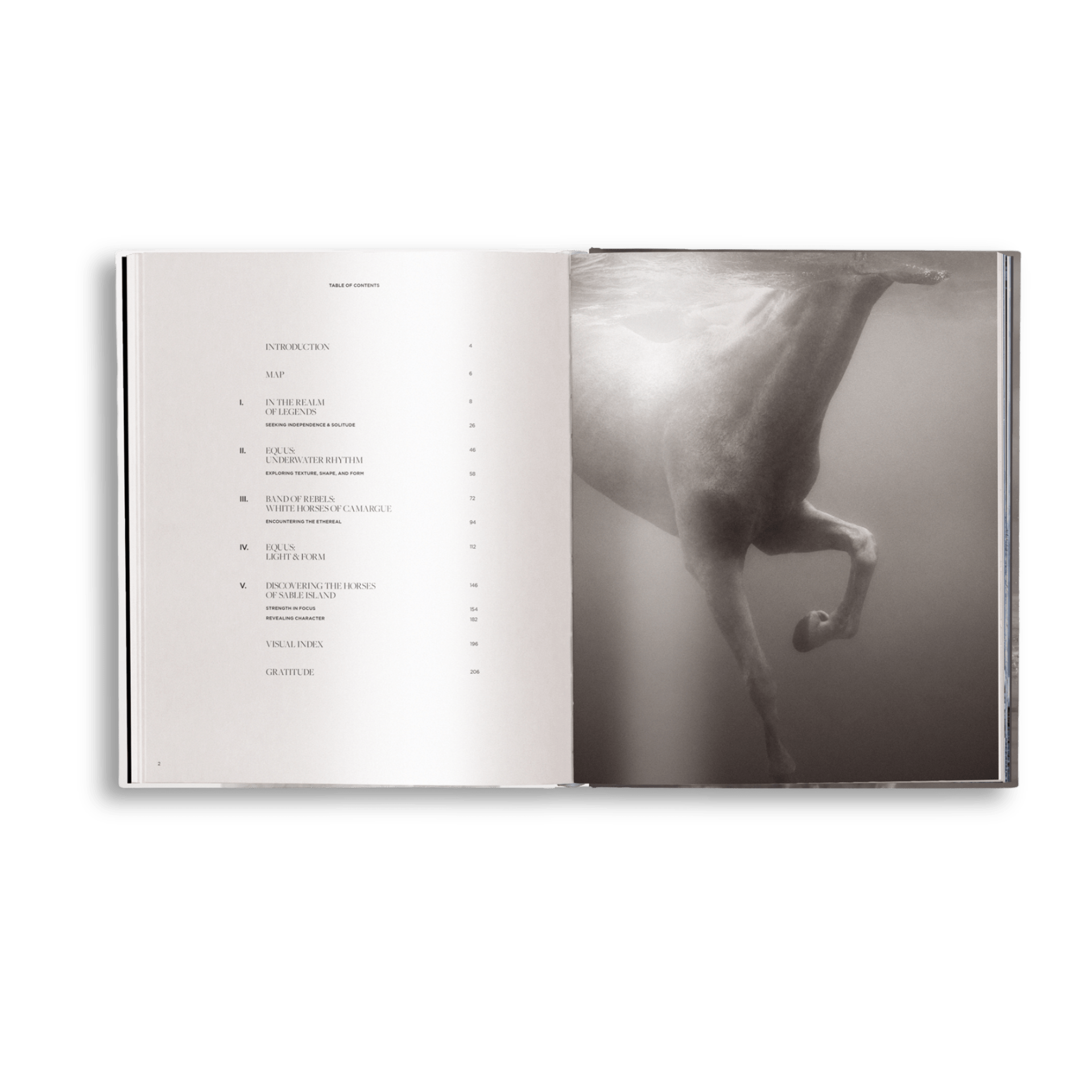 Untamed Spirits: Horses From Around the World - Artiome™ - Book