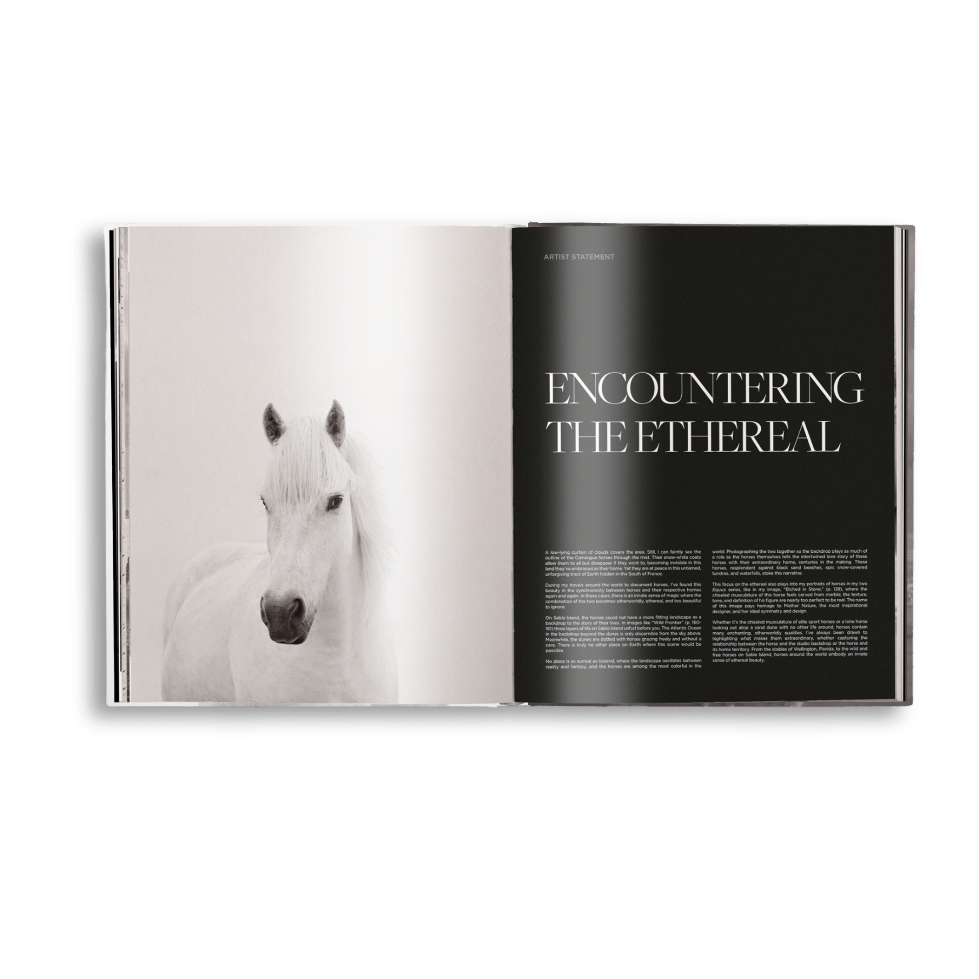 Untamed Spirits: Horses From Around the World - Artiome™ - Book